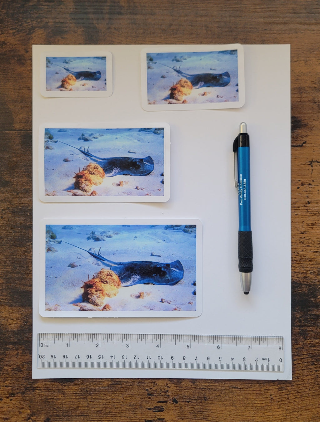 Four vinyl photo stickers of varying sizes  on top of a white paper on top of a wooden surface with a pen and ruler for reference.