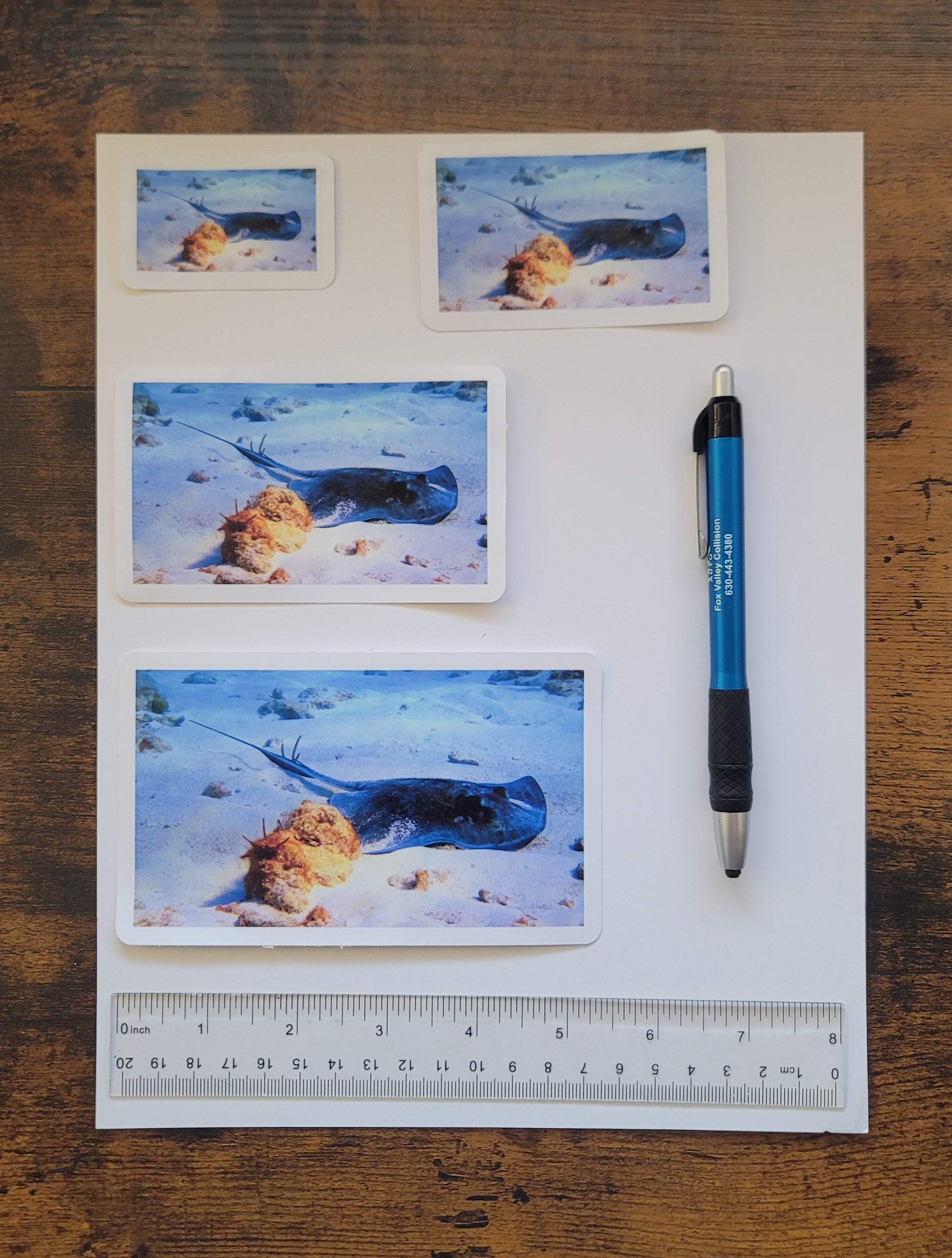 Four vinyl photo stickers of varying sizes  on top of a white paper on top of a wooden surface with a pen and ruler for reference.