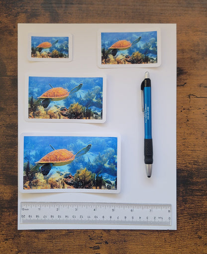 Four identical vinyl photo stickers of a turtle in an ocean scene with a pen and ruler for scale on a wooden surface.