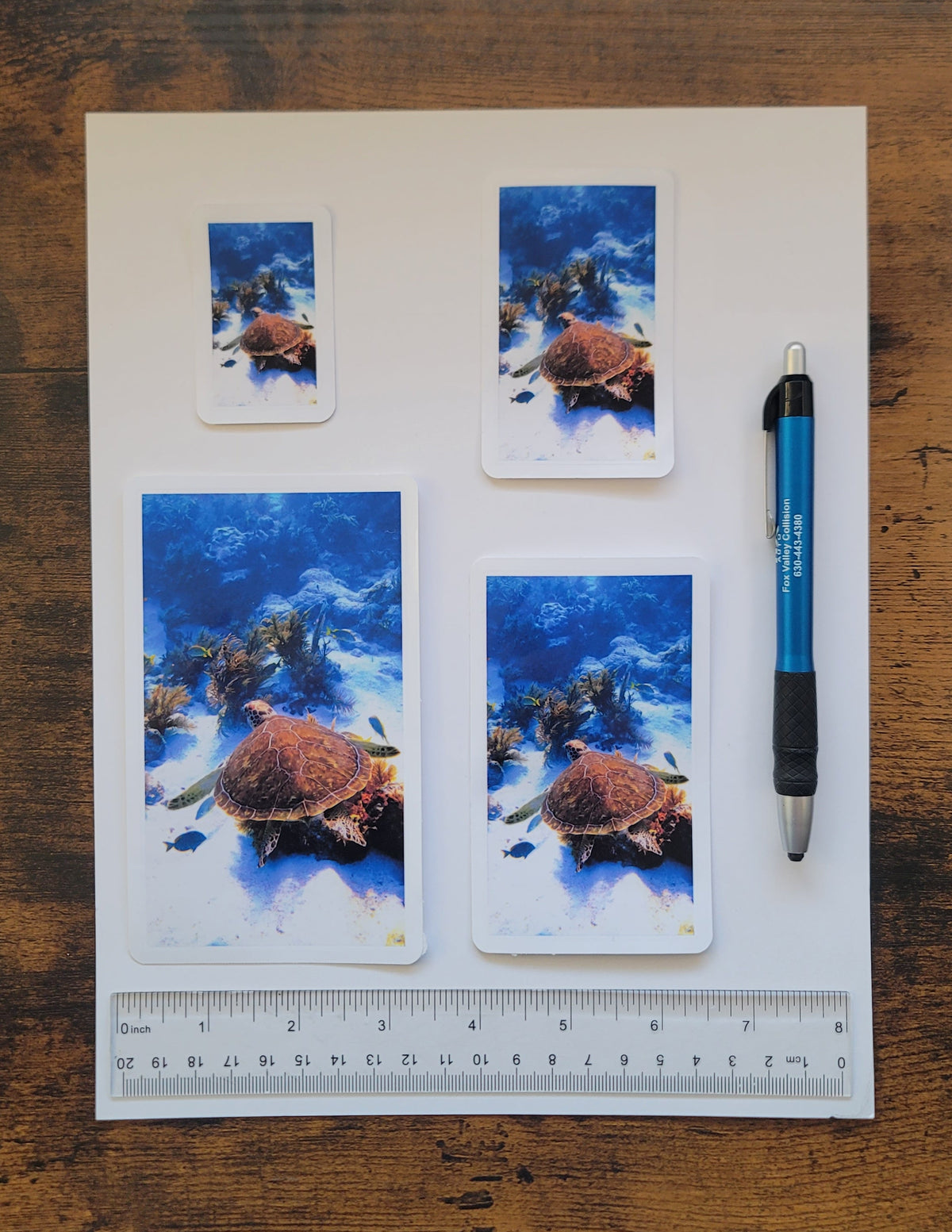 Four vinyl photo stickers of a turtle on a piece of paper with a pen and ruler for scale on a wooden surface.