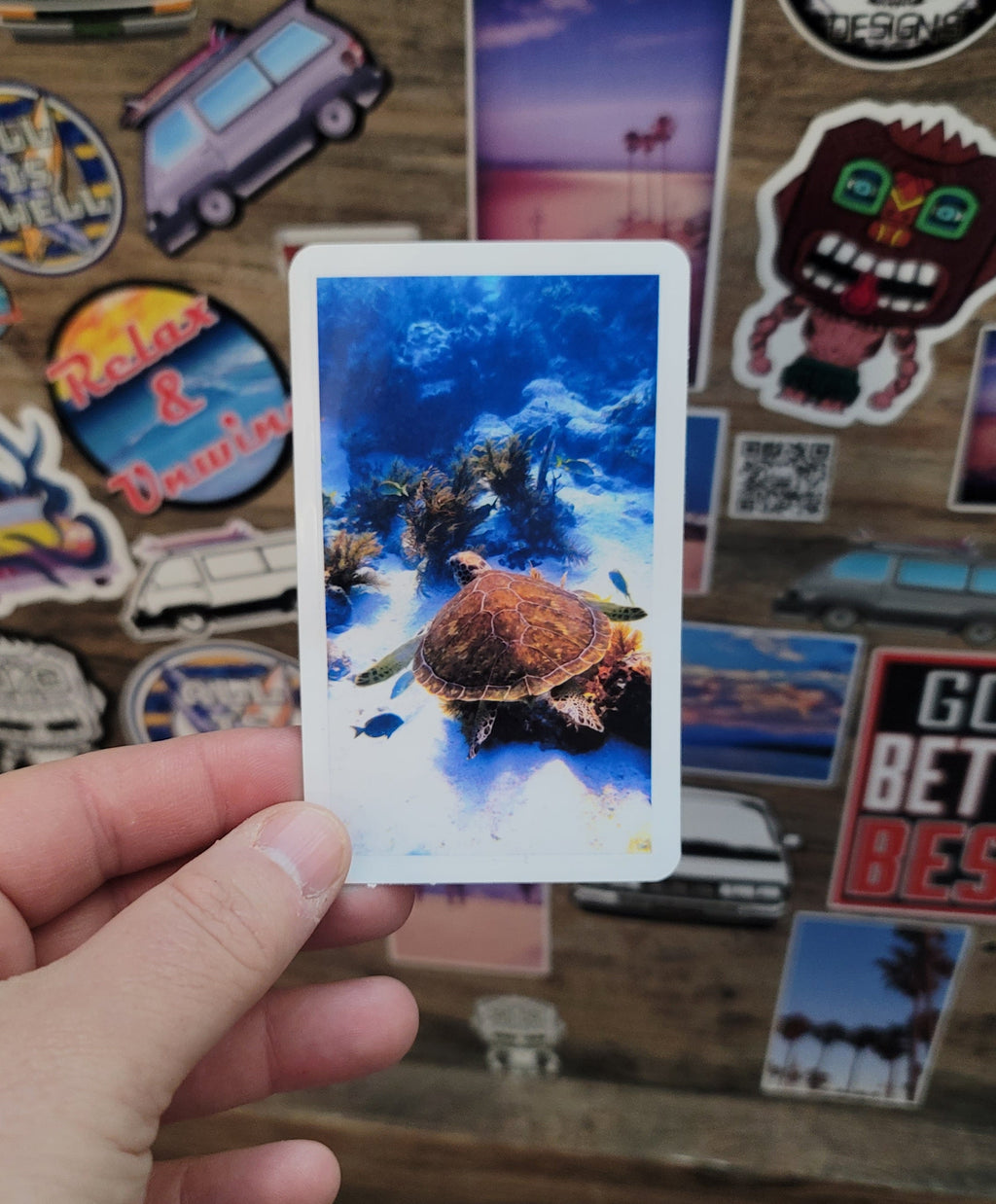 Hand holding a vinyl photo  sticker of a sea turtle taken while scuba diving in Key Largo Florida.