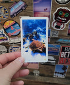 Hand holding a vinyl photo  sticker of a sea turtle taken while scuba diving in Key Largo Florida.