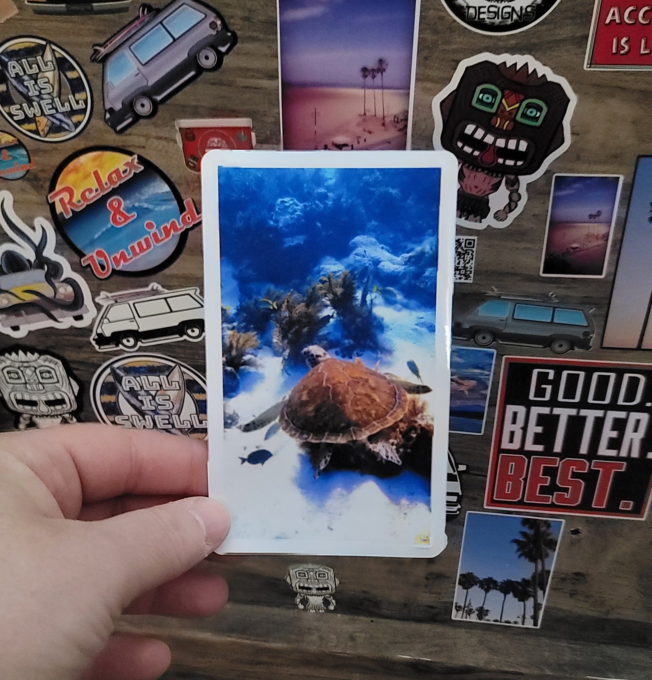 Hand holding a vinyl photo  sticker of a sea turtle taken while scuba diving in Key Largo Florida.
