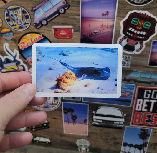 Hand holding a vinyl photo sticker of a sting ray taken while scuba diving in Key Largo Florida.