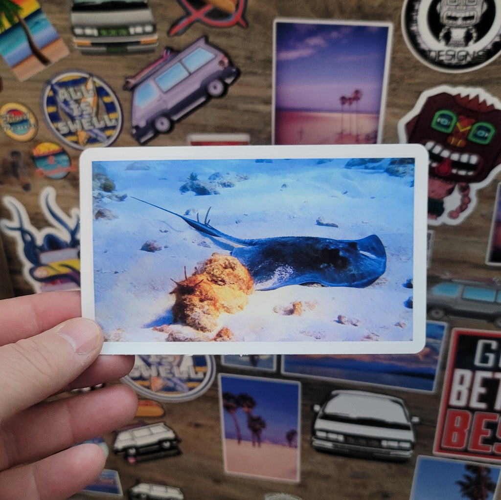 Hand holding a vinyl photo sticker of a sting ray taken while scuba diving in Key Largo Florida.