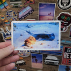 Hand holding a vinyl photo sticker of a sting ray taken while scuba diving in Key Largo Florida.