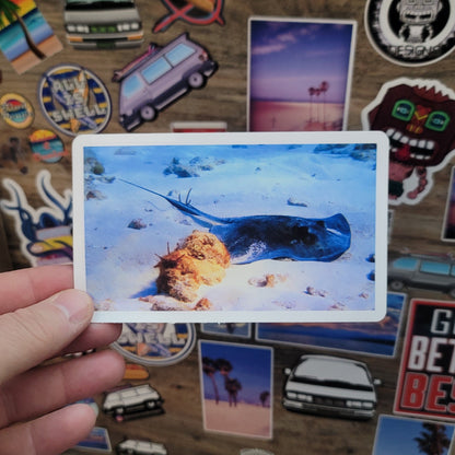 Hand holding a vinyl photo sticker of a sting ray taken while scuba diving in Key Largo Florida.
