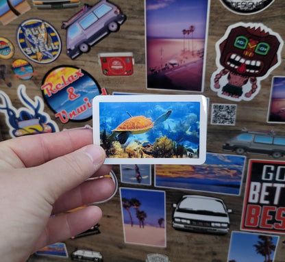 Hand holding a vinyl photo  sticker of a sea turtle taken while scuba diving in Key Largo Florida.