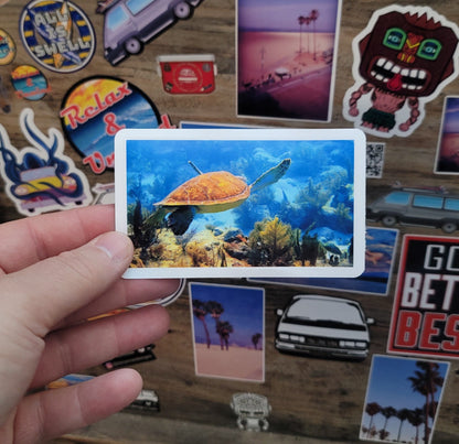 Hand holding a vinyl photo  sticker of a sea turtle taken while scuba diving in Key Largo Florida.