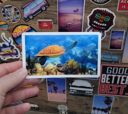 Hand holding a vinyl photo  sticker of a sea turtle taken while scuba diving in Key Largo Florida.